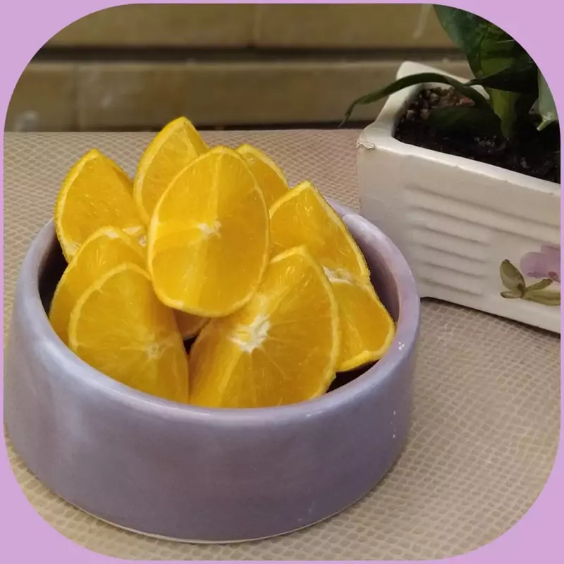 پیتزاخوری سرامیک